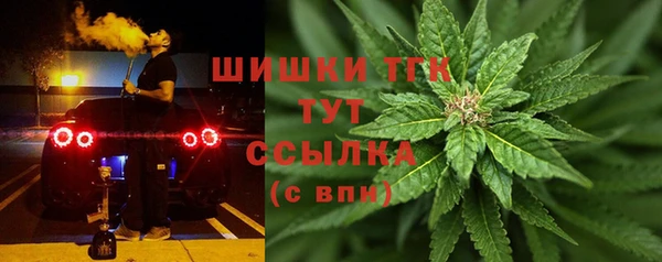 PSILOCYBIN Богородицк