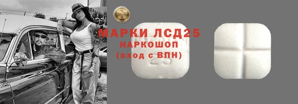 PSILOCYBIN Богородицк