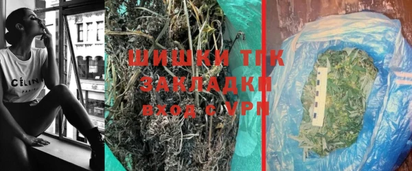 PSILOCYBIN Богородицк