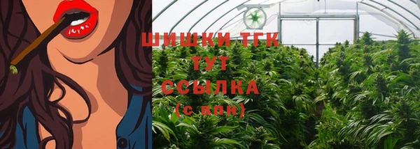 PSILOCYBIN Богородицк