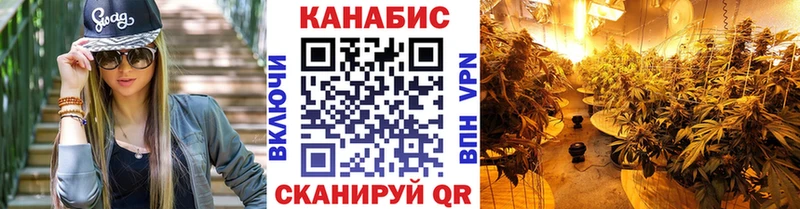ссылка на мегу   Дагестанские Огни  Каннабис план 